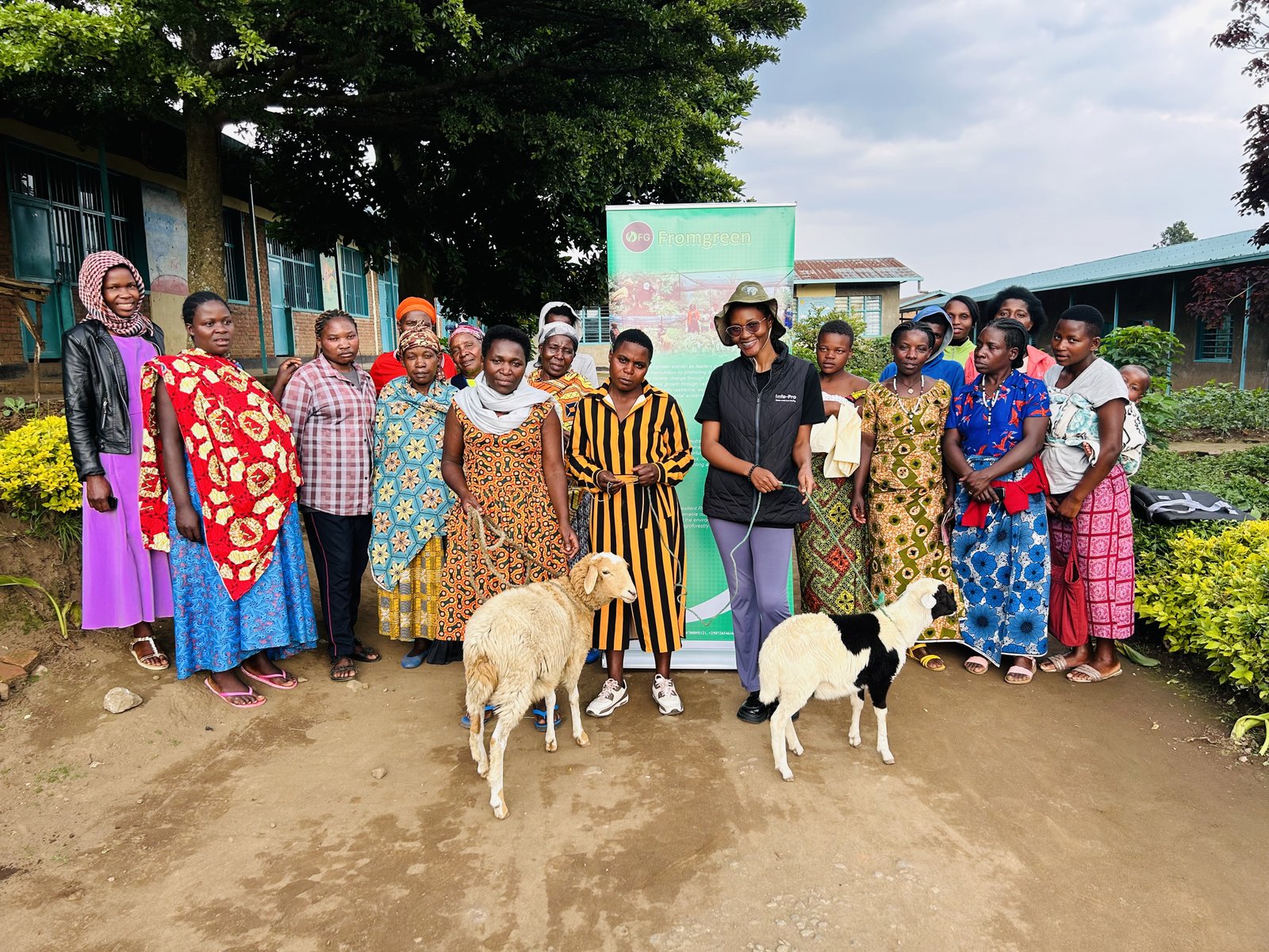 New cheep giving for future farm